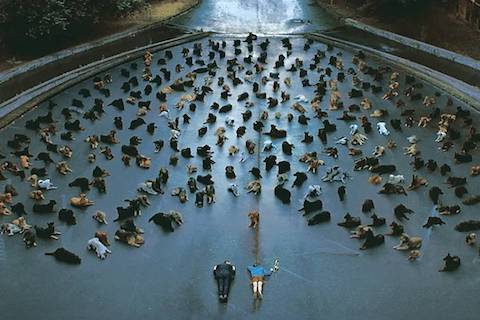 divulga&ccedil;&atilde;o