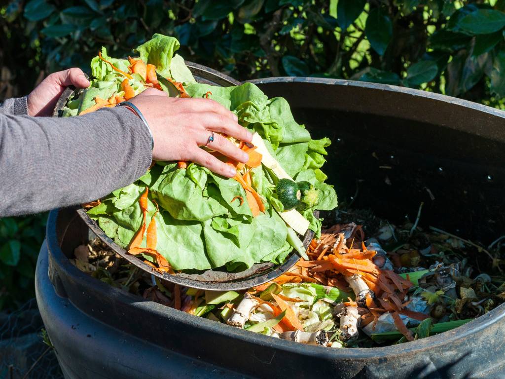 Fome e clima: desperdício de alimentos gera emissão de metano, conecta crises globais e precisa ser medido