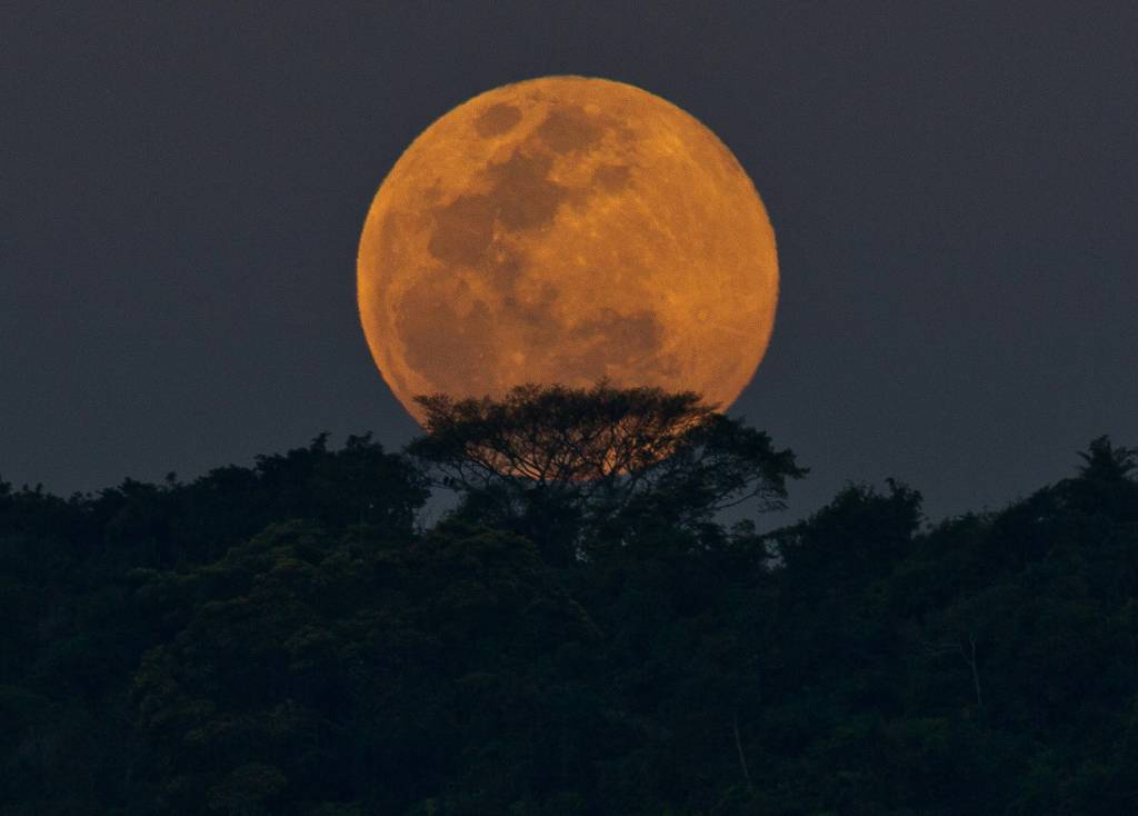 2ª superlua do ano poderá ser vista nesta semana; saiba como observar