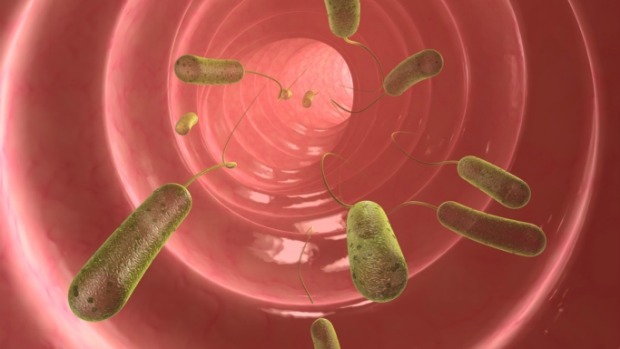 Pesquisador americano desenvolve nariz eletrônico para combater doenças alimentares