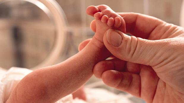 Bebês prematuros: mães obesas são fator de risco para comprometimento cognitivo precoce