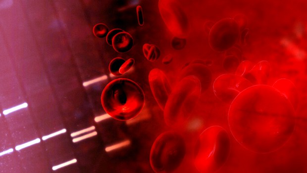 exames de sangue