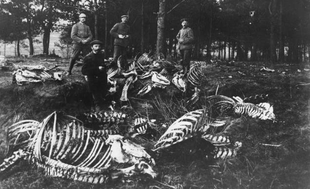 Soldados alemães ao lado de esqueletos de cavalos na I Guerra Mundial, na Polônia Soldados alemães ao lado de esqueletos de cavalos na I Guerra Mundial, na Polônia