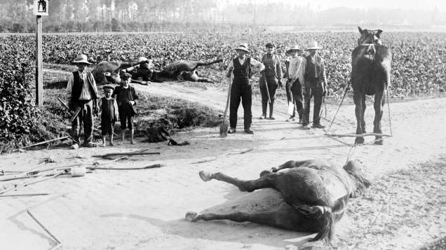 Civis seguram pás para enterrar os cavalos mortos em batalhas da I Guerra Mundial, na Bélgica Civis seguram pás para enterrar os cavalos mortos em batalhas da I Guerra Mundial, na Bélgica