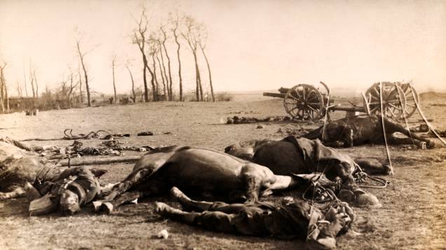Cavalos de soldados britânicos mortos após uma batalha na I Guerra Mundial Cavalos de soldados britânicos mortos após uma batalha na I Guerra Mundial
