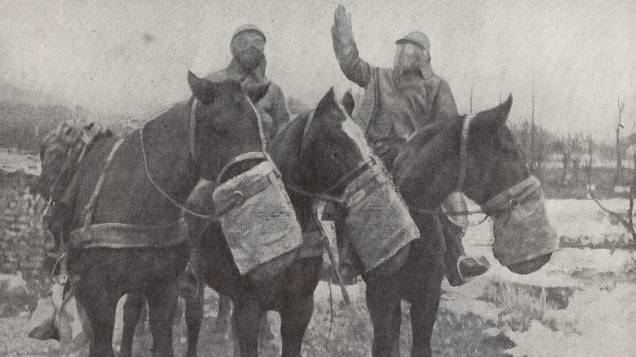 Máscaras de gás para cavalos Máscaras de gás para cavalos