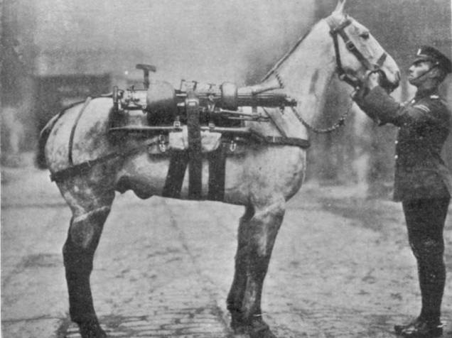 Cavalo equipado com um metralhadora durante a I Guerra Mundial Cavalo equipado com um metralhadora durante a I Guerra Mundial