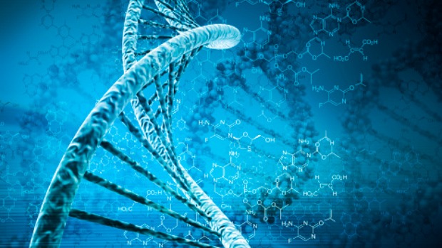 Mutação genética: estudo identifica alterações capazes de evitar ataque cardíaco
