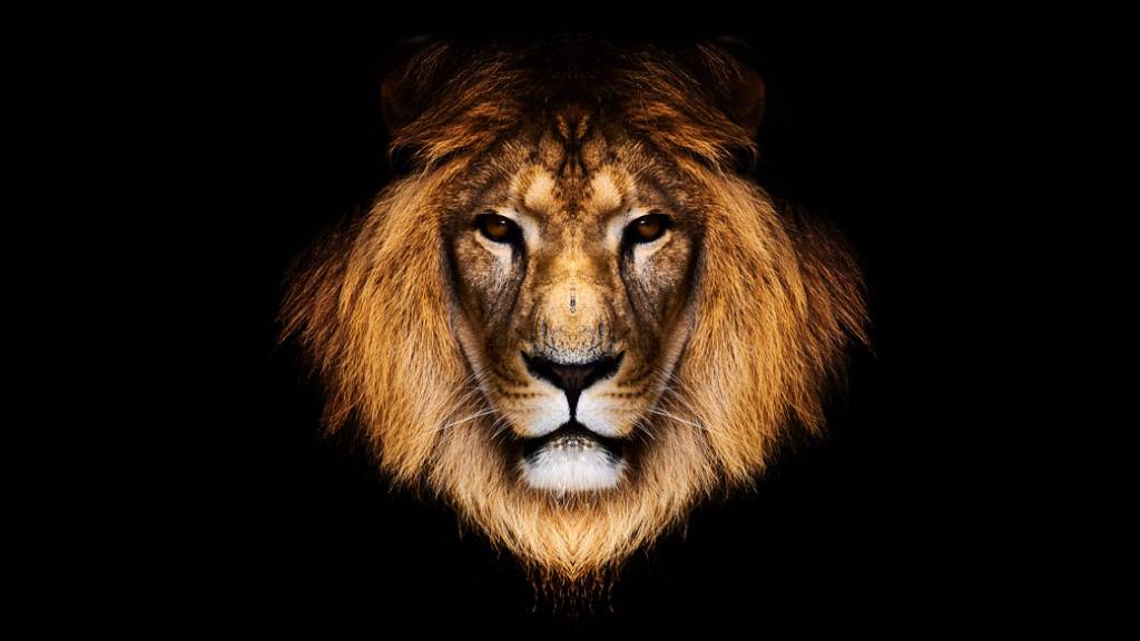 Omissão de rendimentos é o erro que mais leva à malha fina no IR