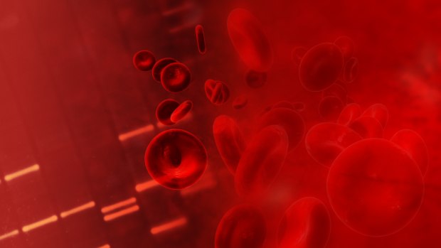 Brasileiros descobrem como transplante cura anemia falciforme