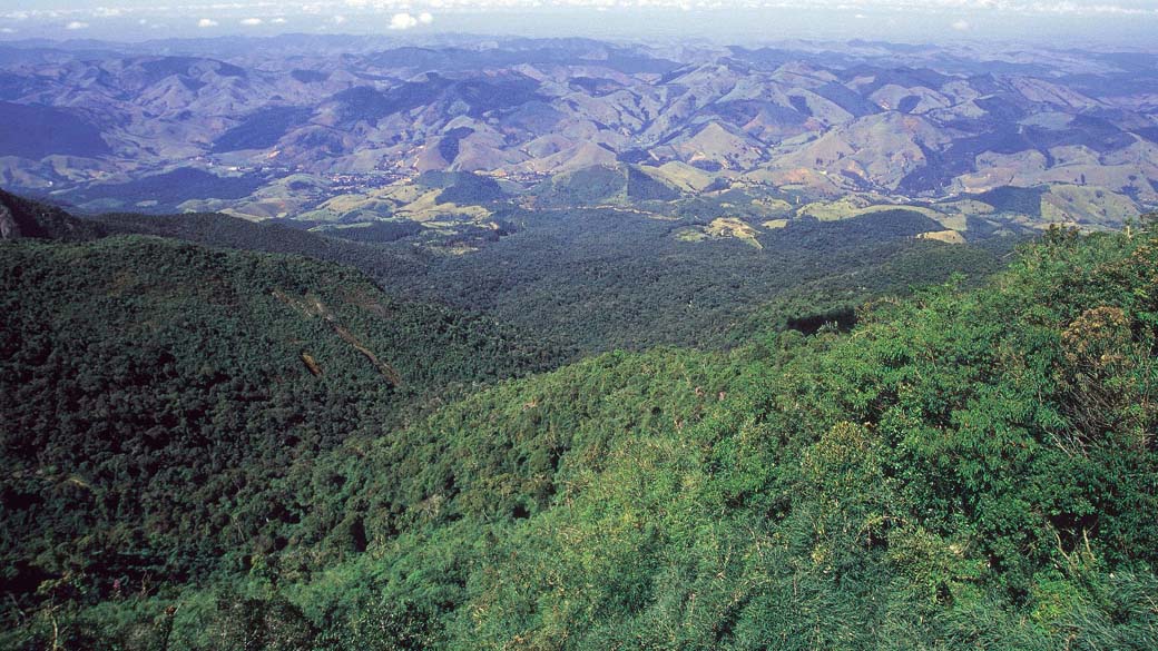 Mata Atlântica //