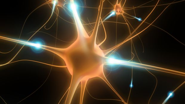 O novo modelo para estudar a doença de Parkinson