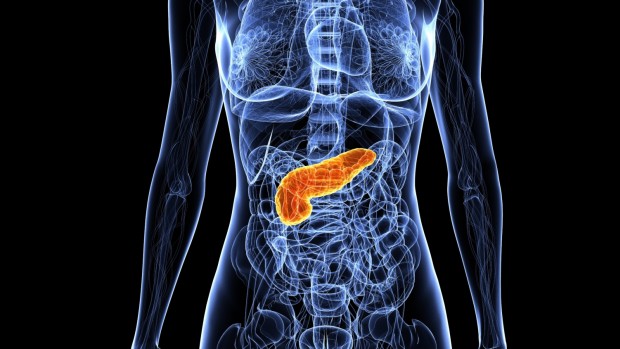 Vem aí a primeira caneta de uso mensal para baixar os triglicérides e reduzir risco de pancreatite