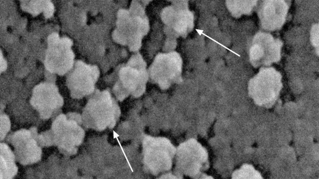 ‘Nova variante de coronavírus é até 70% mais transmissível’, diz Johnson