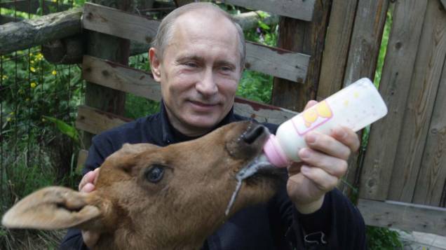 Vladimir Putin alimenta um alce durante visita ao Parque Nacional de Moscou em junho de 2010 Vladimir Putin alimenta um alce durante visita ao Parque Nacional de Moscou em junho de 2010