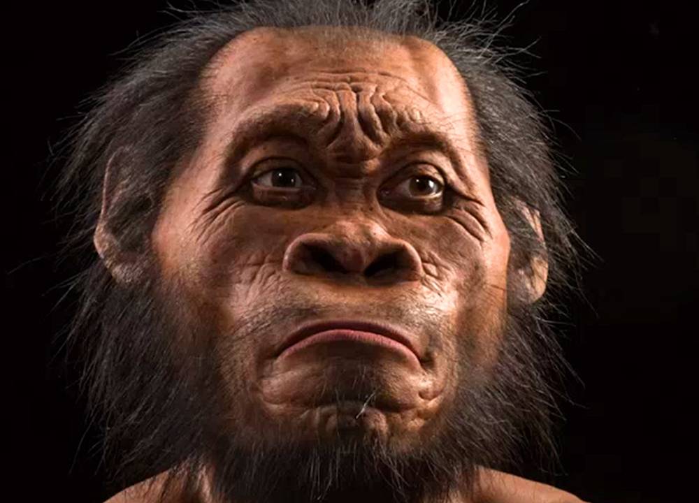 Imagem da revista 'National Geographic' mostra reconstrução artística da face do 'Homo naledi'