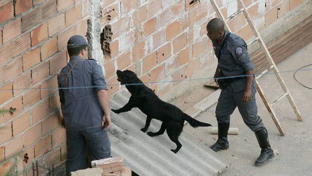 C&atilde;es do Corpo de Bombeiros procuram vest&iacute;gios do corpo de Eliza Samudio, ex-amante do goleiro Bruno