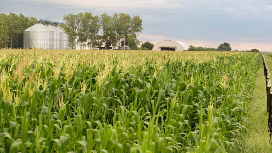 Medidas fazem parte do Plano Safra 2011/2012, que terá R$ 16 bi para agricultura familiar