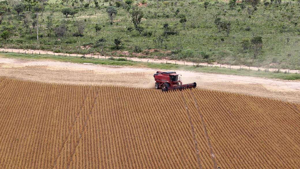 Entenda o uso e registro dos defensivos agrícolas