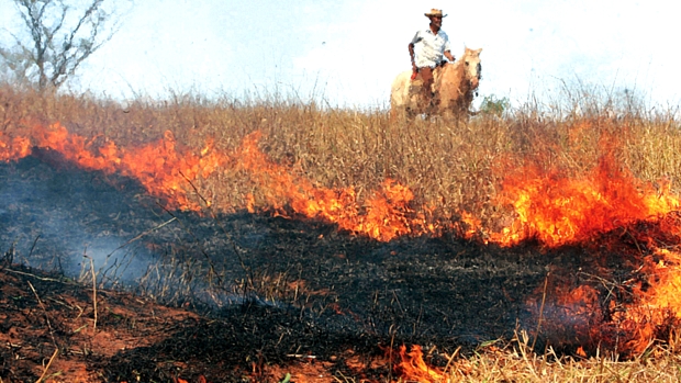 No ambiente, por inteiro