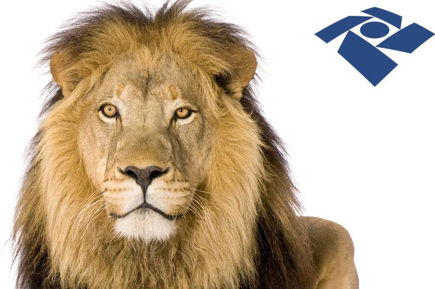 O Leão avançou sobre o contribuinte em 2024. Em 2025, ele seguirá faminto