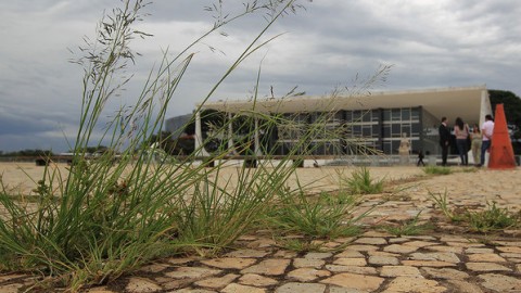Ponto que interliga o Supremo Tribunal Federal (STF), o Palácio do Planalto e o Congresso Nacional, a Praça dos Três Poderes lembra um museu a céu aberto por abrigar obras de importantes escultores, entre eles Bruno Giorgi, Oscar Niemeyer e Marianne Peretti. Um dos locais que mais deveria ser valorizado pelo governo local, porém, atualmente amarga total abandono: o piso está quebrado e cheio de mato, além dos bancos sujos. Além disso, o Espaço Cultural Lúcio Costa está fechado para obras de acessibilidade, conforme aponta um cartaz na entrada. O prazo para término: 26 de novembro de... 2012. Apesar disso, o GDF estipula a conclusão em abril deste ano. (Fotos Cristiano Mariz)