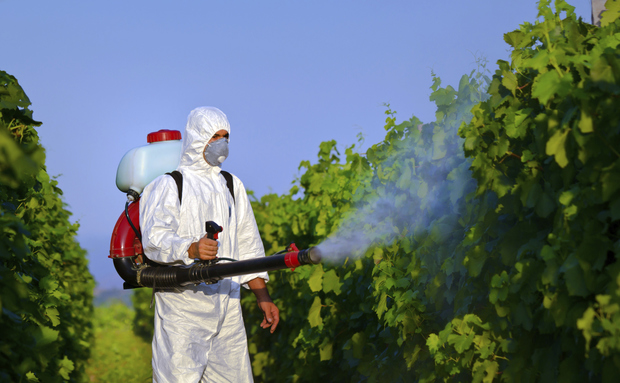 OMS classifica herbicidas usados no Brasil como prováveis causadores de câncer