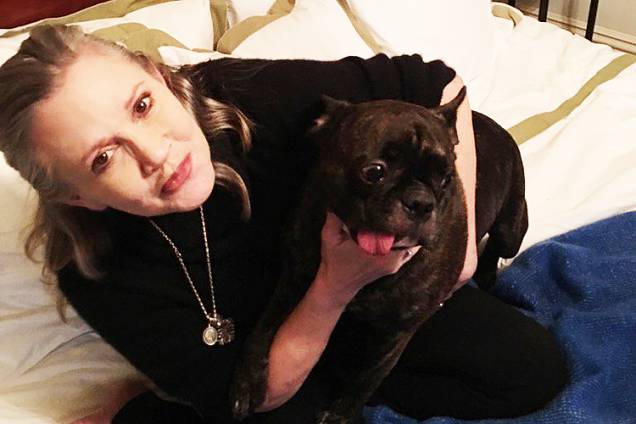 Carrie Fisher e seu cachorro Gary Carrie Fisher e seu cachorro Gary