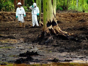 desechos-toxicos-de-chevron
