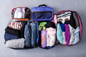 &hellip;EDIT MALAS VEJA 03