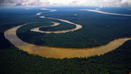 Indústria do Amazonas projeta impacto negativo de R$ 600 milhões com seca de 2025