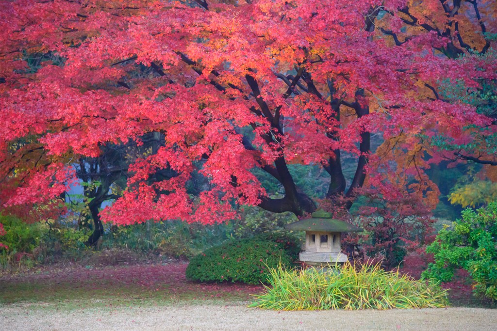 Rikugien is often considered Tokyo's most beautiful Japanese landscape garden. Built around 1700 for the 5th Tokugawa Shogun. Rikugien literally means "six poems garden&rdquo;.
