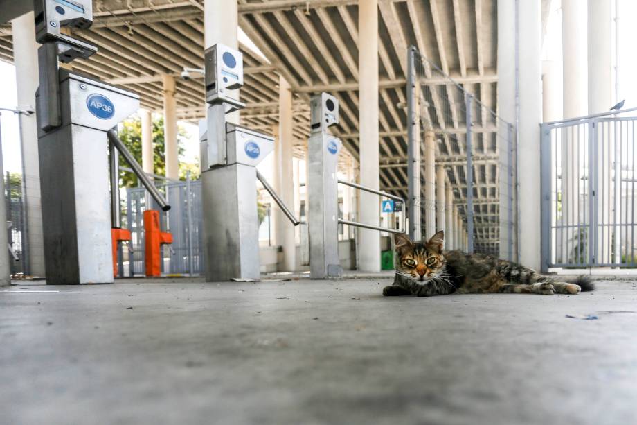 Estádio do Maracanã: abandono após a Rio-2016