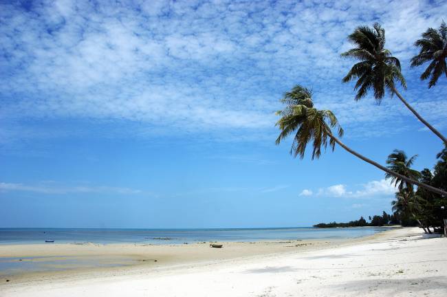 kohsamui