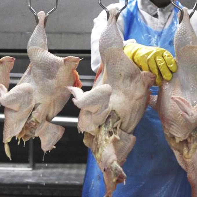 Polícia Federal deflagra nova fase da Operação Carne Fraca