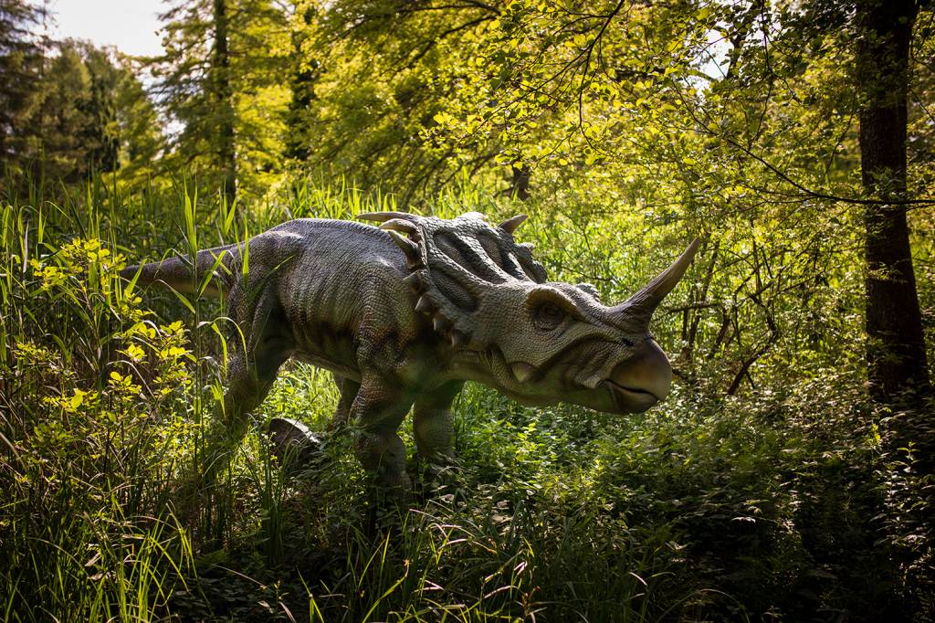 Como a extinção dos dinossauros redesenhou a paisagem da Terra