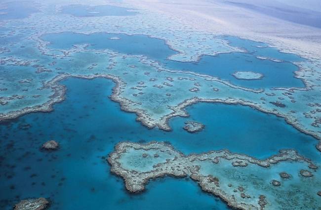 great-barrier-reef