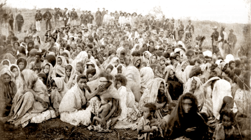 Deonísio da Silva: Em tempo de murici, cada um cuida de si