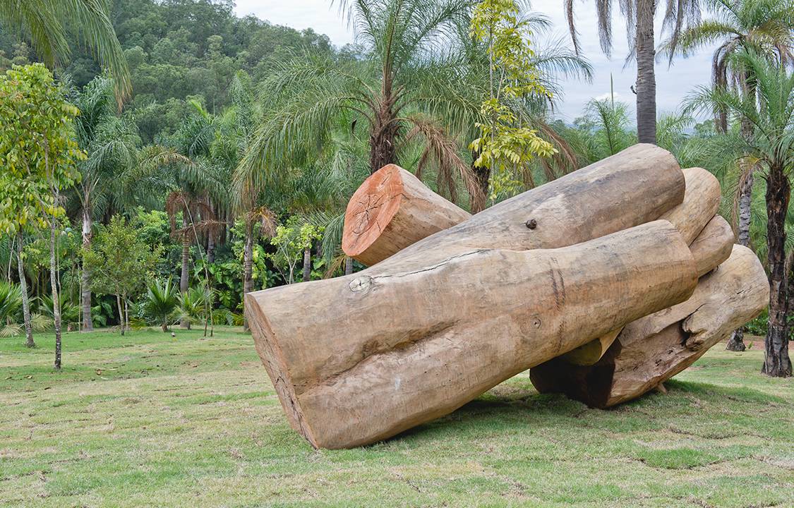 Embrionário é uma das novas obras de arte que compõe o jardim de Inhotim