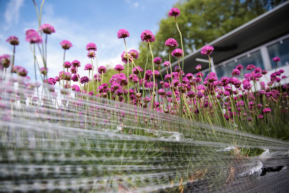 Caminhão leva flores a serem plantadas e expostas no festival Chelsea Flowers, em Londres