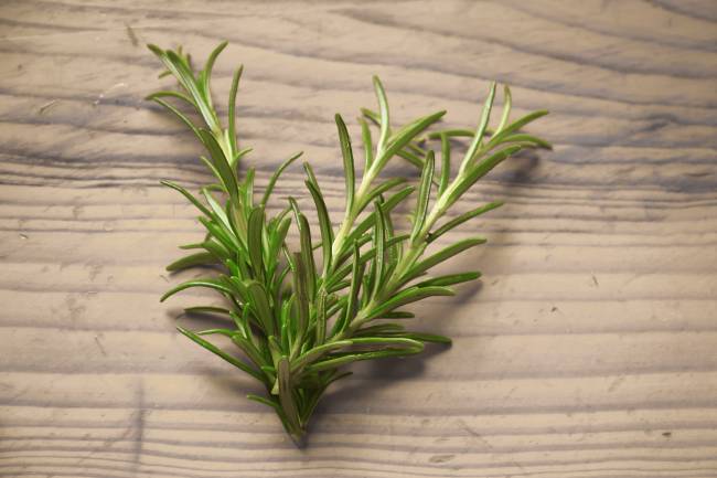 rosemary