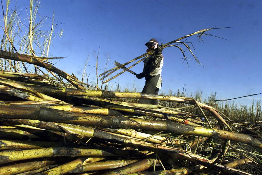 Governo dá incentivos para Bahia virar autossuficiente em álcool e açúcar