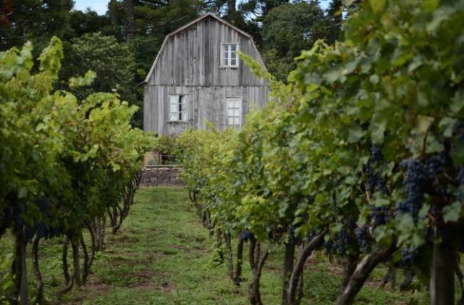 cidades para aproveitar as férias de inverno