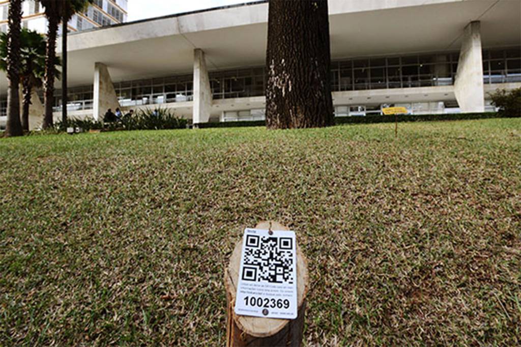 Primeiras árvores com sistema de identificação QR code