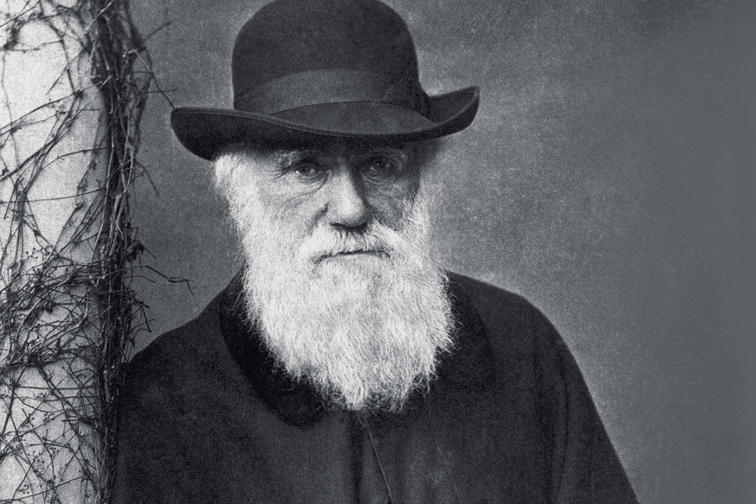 Pesquisadores revelam inédita biblioteca perdida de Charles Darwin