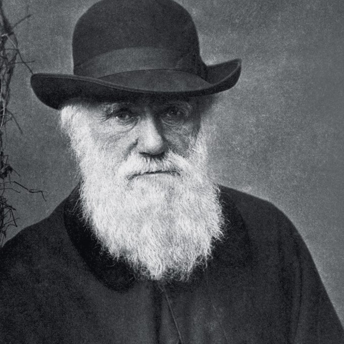 Pesquisadores revelam inédita biblioteca perdida de Charles Darwin