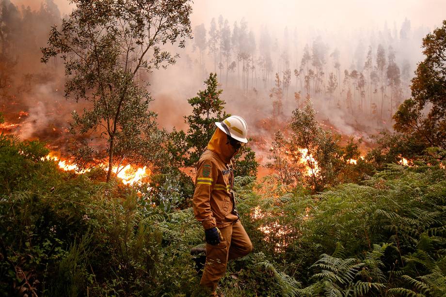 Bombeiros seguem trabalhando no combate às chamas na região central de Portugal - 19/06/2017