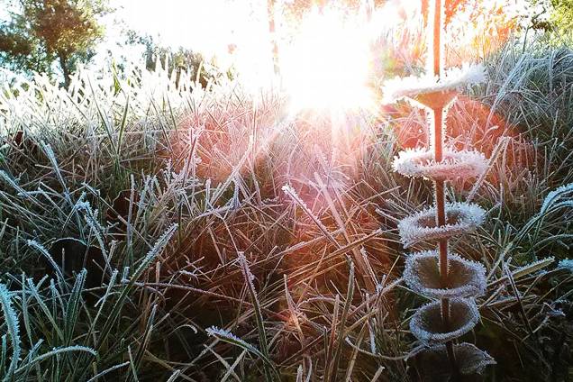 A temperatura em Urupema (SC) foi mais amena e fez -4,3°C, quinto dia seguido de temperaturas negativas. Agora o frio começa a perder um pouco a intensidade e o sol começa a aparecer - 21/07/2017 A temperatura em Urupema (SC) foi mais amena e fez -4,3°C, quinto dia seguido de temperaturas negativas. Agora o frio começa a perder um pouco a intensidade e o sol começa a aparecer - 21/07/2017