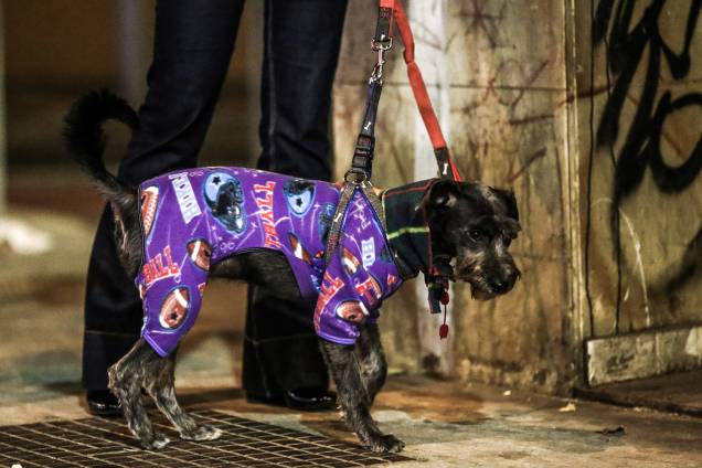 Dona veste ser cachorro com uma roupa para protegê-lo do frio que atingiu a capital paulista Dona veste ser cachorro com uma roupa para protegê-lo do frio que atingiu a capital paulista
