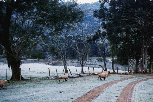 A paisagem branca na cidade de Erechim, no Rio Grande do Sul, que amanheceu com os campos coberto pela geada toda a semana. A paisagem branca na cidade de Erechim, no Rio Grande do Sul, que amanheceu com os campos coberto pela geada toda a semana.